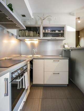 Апартаменты Amber View Apartments Клайпеда Апартаменты с 1 спальней-73