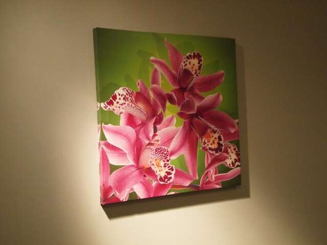 Апартаменты Amber View Apartments Клайпеда-54